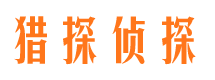 大观侦探社